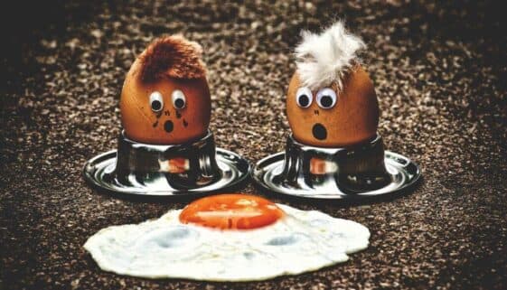 Blogujmy24.pl: Obalamy mity #13: Nie jedz żółtek jaj!, Artykuły | Cholesterol