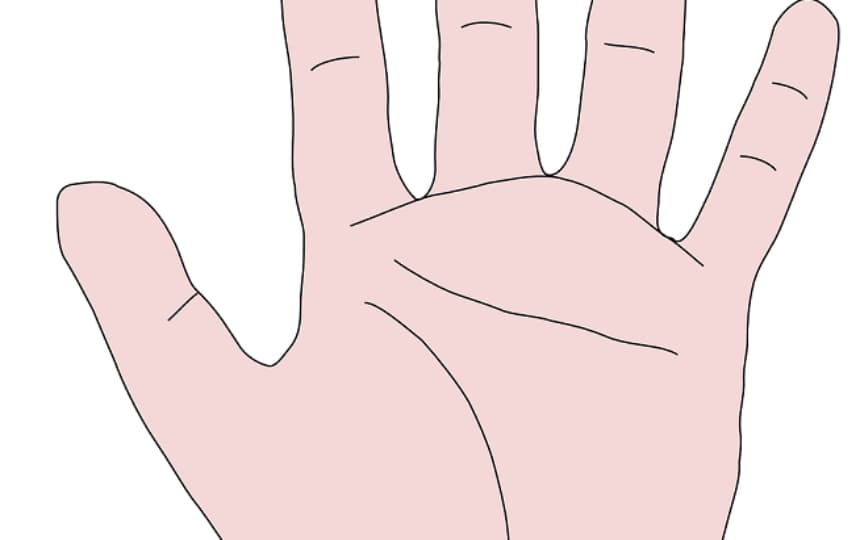hand-g29cbc8964_1280 Blogujmy24.pl: 5 Przekonań, które utrudniają Ci odchudzanie!, Artykuły | Dieta