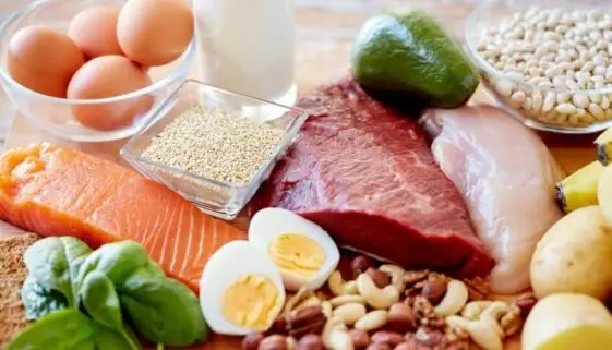 Blogujmy24.pl: Białko i dieta - co musisz wiedzieć?, Artykuły | Aminokwasy
