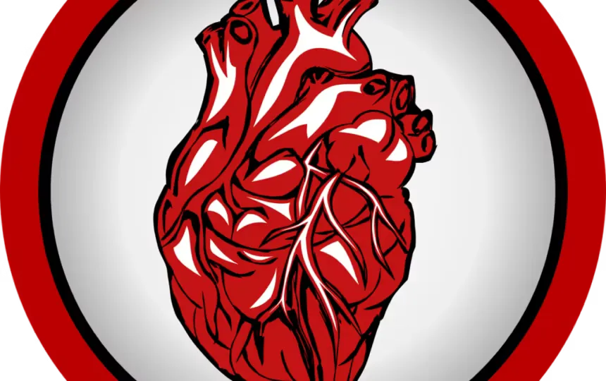 Blogujmy24.pl: 5 substancji, które wzmocnią nasze serce!, Artykuły | Azotany