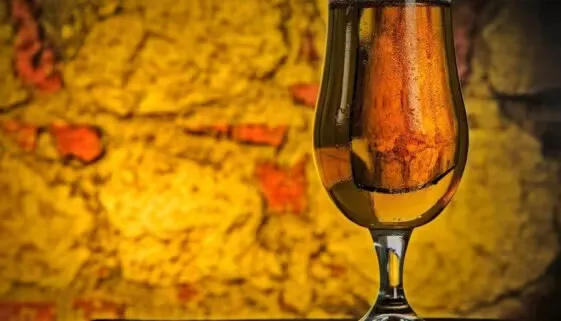 Blogujmy24.pl: Alkohol - co z naszymi mięśniami?, Artykuły | Alkohol