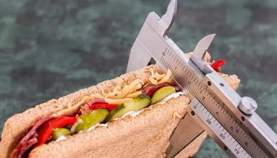 Blogujmy24.pl: Na co zwrócić uwagę w posiłkach okołotreningowych?, Artykuły | Dieta