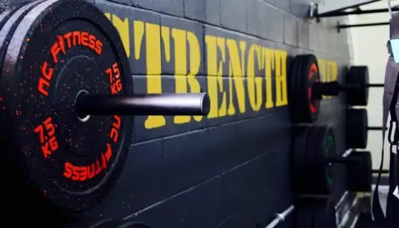 Blogujmy24.pl: Jak rozpocząć przygodę z siłownią?, Artykuły | Dieta