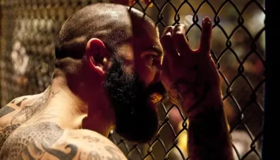 Blogujmy24.pl: Najczęstsze błędy w treningu sportów walki!, Artykuły | Przygotowanie Fizyczne