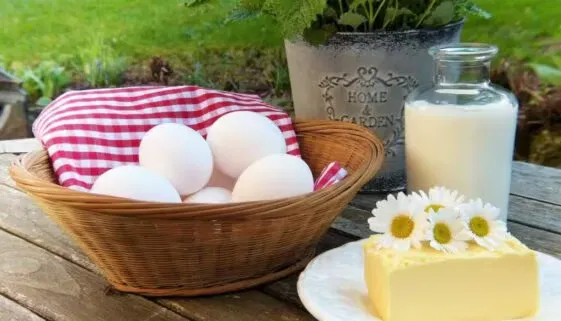 Blogujmy24.pl: Co jeść i czego unikać w diecie low-carb?, Artykuły | Dieta