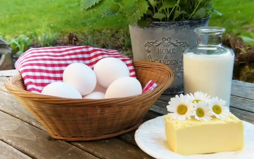 Blogujmy24.pl: Co jeść i czego unikać w diecie low-carb?, Artykuły | Dieta