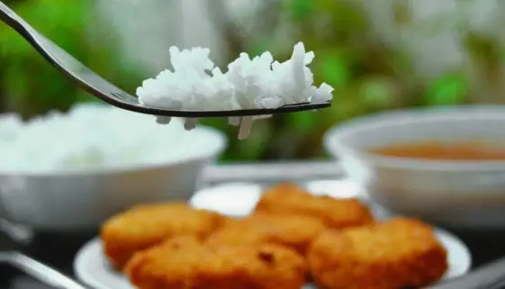 Blogujmy24.pl: Ryż brązowy czy biały?, Artykuły | Dieta