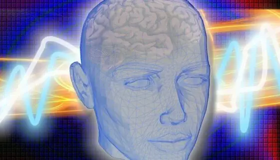 Blogujmy24.pl: O co chodzi z neuroprzekaźnikami?, Artykuły | Mózg