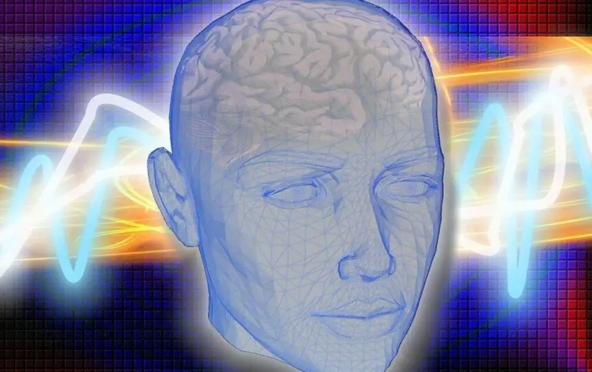 Blogujmy24.pl: O co chodzi z neuroprzekaźnikami?, Artykuły | Mózg