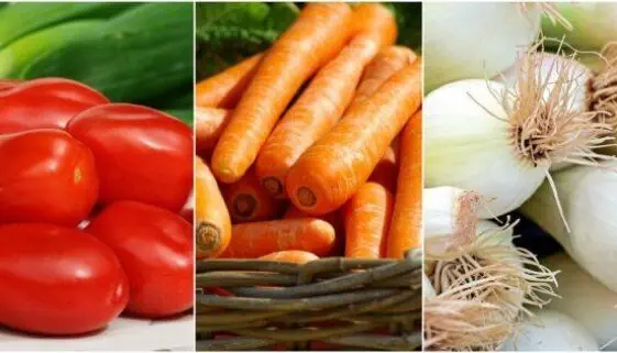 Blogujmy24.pl: Gęstość energetyczna, Artykuły | Dieta
