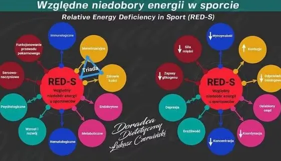 Blogujmy24.pl: Niedobór energii u sportowców?, Artykuły | Energia