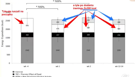 Blogujmy24.pl: Badanie: wysiłek i aktywność w ciągu dnia, Artykuły | Aktywność Fizyczna