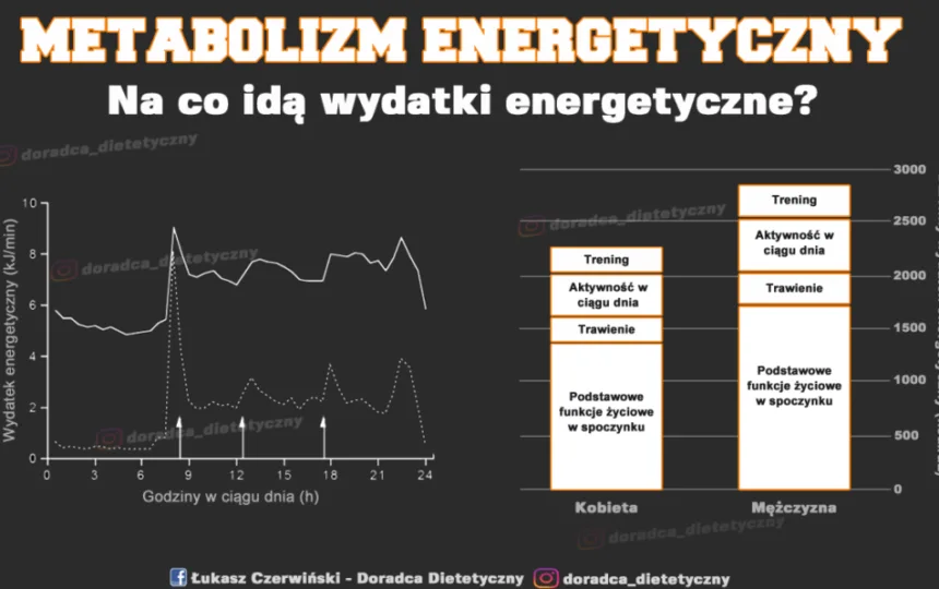 Blogujmy24.pl: Badanie: metabolizm energetyczny, Artykuły | Dieta