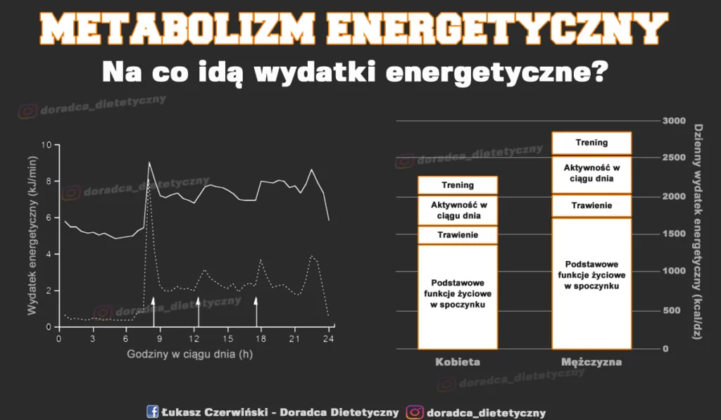 Metabolizm wysiłkowy