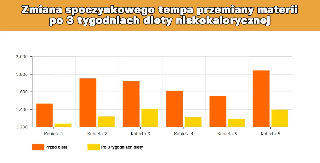 Masa ciałą a metabolizm