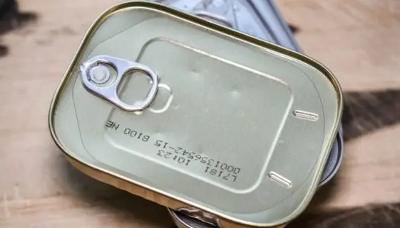 Blogujmy24.pl: Zjeść czy wyrzucić?, Artykuły | Dieta