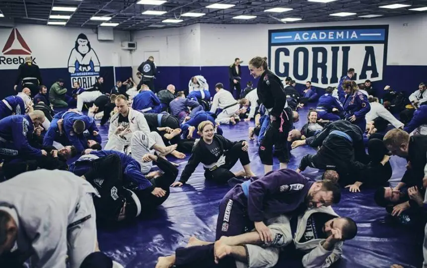 Blogujmy24.pl: KLUBY SPORTÓW WALKI: Akademia Gorila Warszawa, Artykuły | Academia Gorilla Warszawa