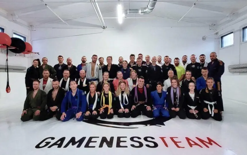 Blogujmy24.pl: Gameness Team Poznań, Artykuły | Gameness Team