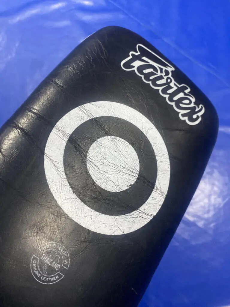 Blogujmy24.pl: RECENZJA: tarcze pao FAIRTEX KPLC1, Artykuły | Fairtex