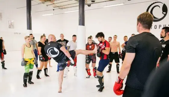 Blogujmy24.pl: KLUBY SPORTÓW WALKI: Octopus Łódź, Artykuły | Kluby sportów walki