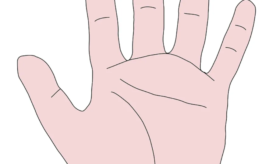 Blogujmy24.pl: 5 Przekonań, które utrudniają Ci odchudzanie!, Artykuły | Dieta