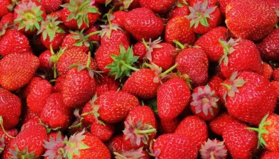 Blogujmy24.pl: Dieta Wolumetryczna, o co tu chodzi?, Artykuły | Dieta objętościowa