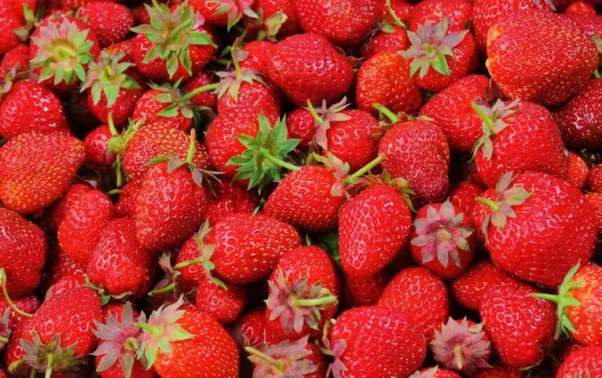 Blogujmy24.pl: Dieta Wolumetryczna, o co tu chodzi?, Artykuły | Dieta objętościowa