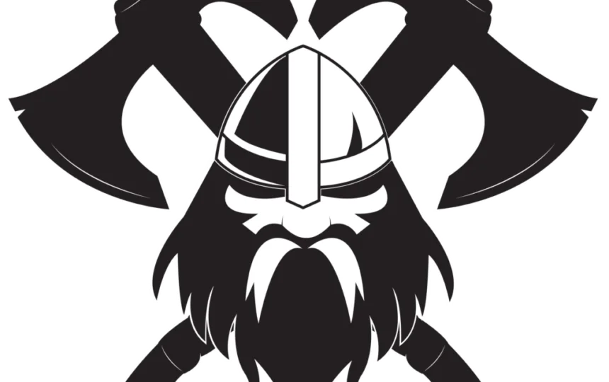 Blogujmy24.pl: KLUBY SPORTÓW WALKI: Viking Team, Artykuły | Kluby sportów walki