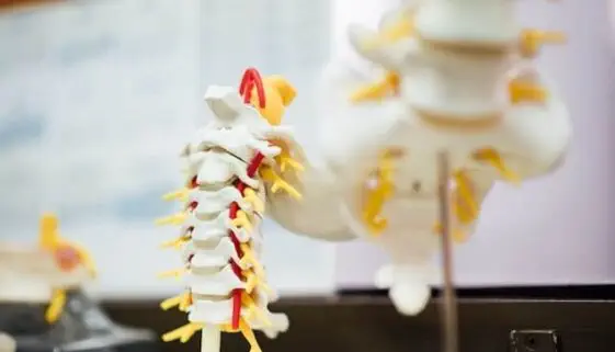 Blogujmy24.pl: Kinesiotaping – na czym polega plastrowanie dynamiczne?, Artykuły | Fizjoterapia