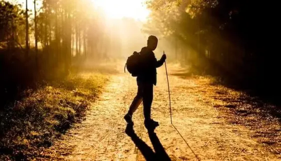 Blogujmy24.pl: Nordic walking - co to właściwie jest?, Artykuły | Aktywność Fizyczna