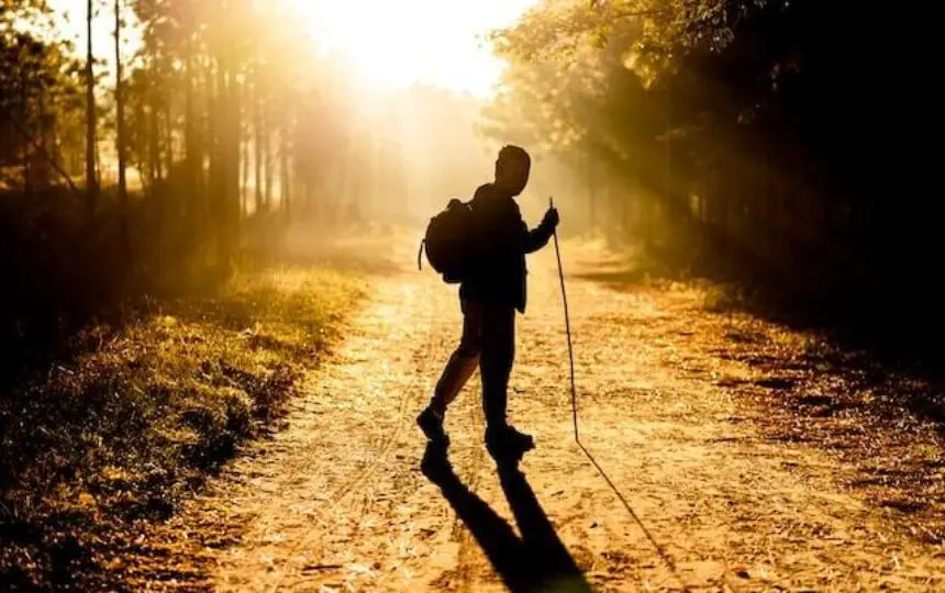 Blogujmy24.pl: Nordic walking - co to właściwie jest?, Artykuły | Aktywność Fizyczna