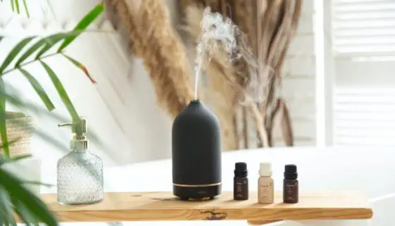 Blogujmy24.pl: Aromaterapia: najlepsze olejki do aromaterapii, Artykuły | Aromaterapia