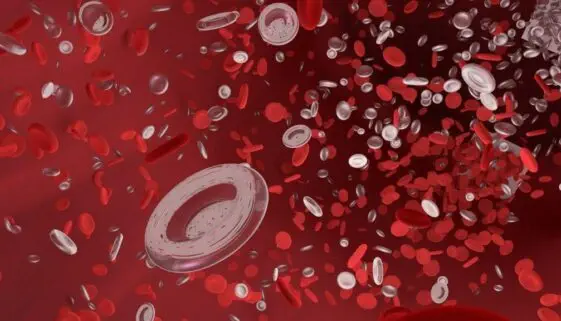 Blogujmy24.pl: Erytropoetyna jako doping, Artykuły | Doping