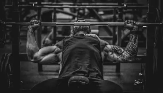 Blogujmy24.pl: Plan treningowy dla początkujących., Artykuły | Plan Treningowy