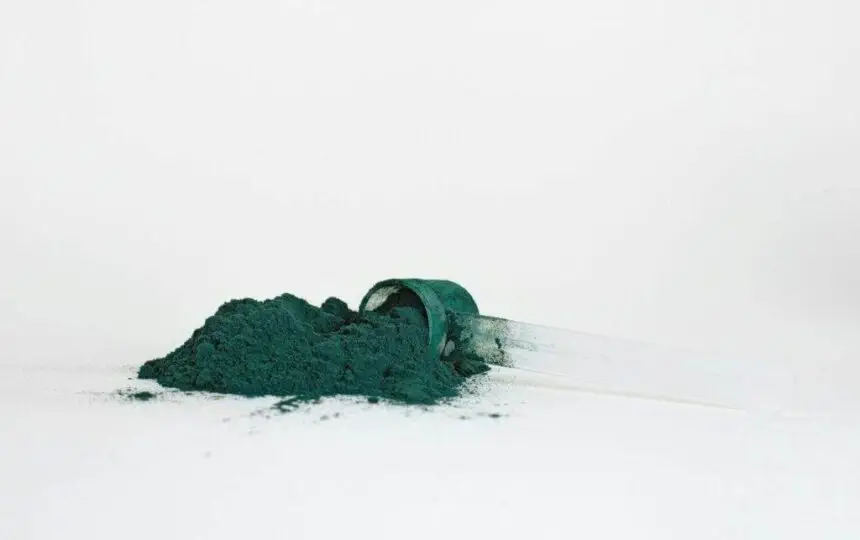 Blogujmy24.pl: Czym jest spirulina i jakie ma właściwości?, Artykuły