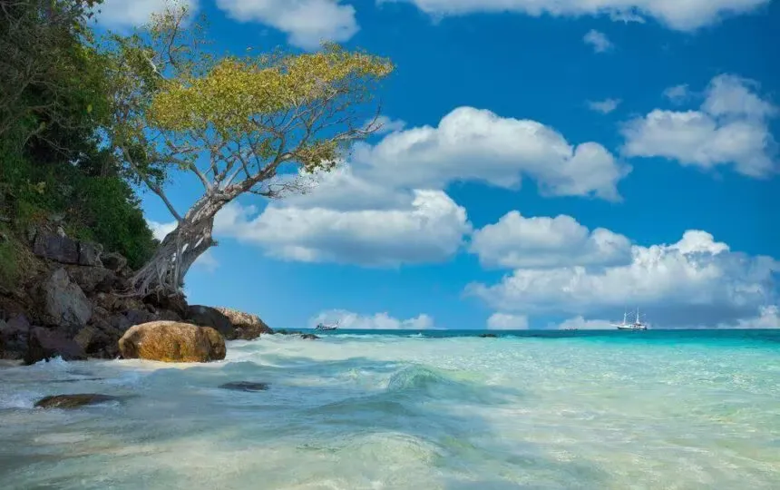 Blogujmy24.pl: Czy warto trenować na siłowni w wakacje?, Artykuły | lato