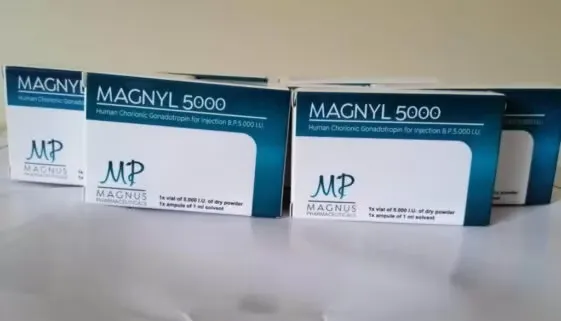 Blogujmy24.pl: Czym jest i jak działa HCG?, Artykuły | HCG