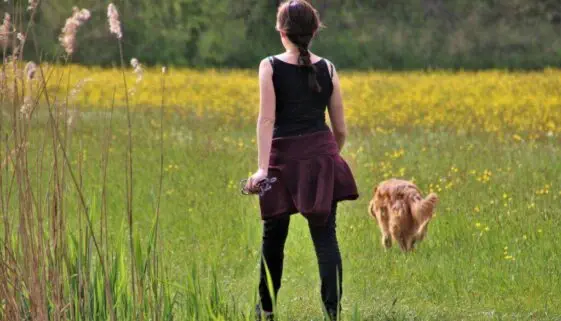 Blogujmy24.pl: Czy 10 000 kroków dziennie to mit?, Artykuły | Aktywność Fizyczna