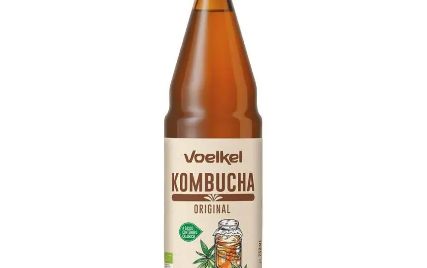 Blogujmy24.pl: Kombucha: co to jest i dlaczego warto ją spożywać?, Artykuły | Kombucha