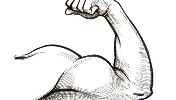 Blogujmy24.pl: Biceps - budowa i funkcje: pełne spojrzenie na anatomię., Artykuły | Biceps