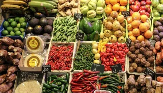 Blogujmy24.pl: Suplementacja witaminowa w regeneracji po treningu., Artykuły