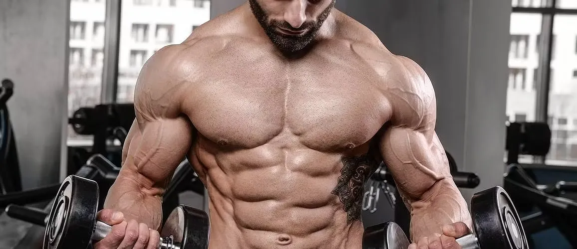 Blogujmy24.pl: Mięśnie klatki piersiowej: budowa i funkcje., Artykuły | Anatomia mięśnia