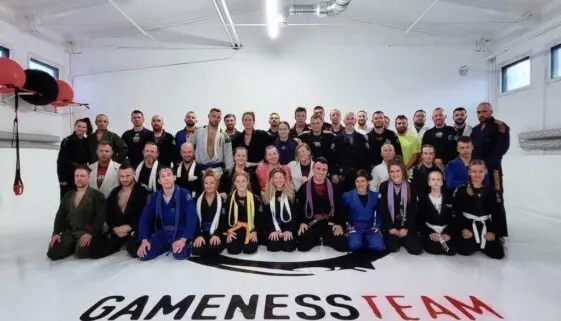 Blogujmy24.pl: Gameness Team Poznań, Artykuły | Gameness Team