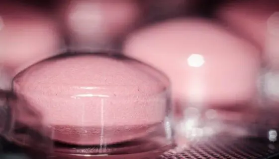 Blogujmy24.pl: Co musisz wiedzieć o efedrynie?, Artykuły | Doping