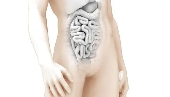 Blogujmy24.pl: Mikrobiom jelitowy a efektywność treningu?, Artykuły | Dieta
